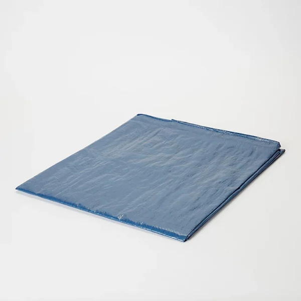 Castorama Bâche Légère Bleu 2 X 3 M 1